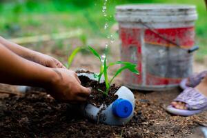 peu fille et maman grandir les plantes dans des pots de recyclé l'eau bouteilles dans le cour. recycler l'eau bouteille pot, jardinage Activités pour les enfants. recyclage de Plastique déchets photo