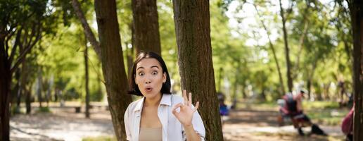 portrait de asiatique Jeune femme, étudiant Faire devoirs, travail dans parc, séance à côté de arbre avec portable et montrant d'accord signe, approuver qch photo