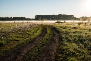 le route passe par une vert prairie, tout est couvert avec lumière brouillard et illuminé par le en hausse Soleil. photo