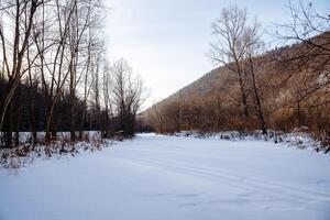 rivière en dessous de le neige. blanc champ de neige sur le étendues de le Terre. du froid saison photo