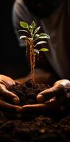 ai généré la personne détient un bébé plante. africain homme en portant petit arbre dans le sien mains photo