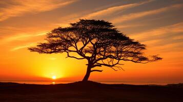 ai généré le silhouette de une arbre contre une d'or ciel photo