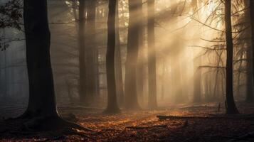ai généré de mauvaise humeur forêt avec mystique brouillard à lever du soleil photo