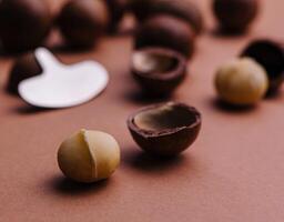 macadamia des noisettes proche en haut photo