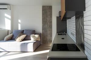 nettoyer cuisine dans une petit confortable contemporain studio appartement. photo