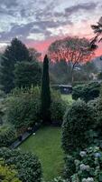 une jardin avec une arbre dans le premier plan et une ciel dans le Contexte photo