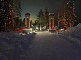 une neigeux entrée à une forêt à nuit photo