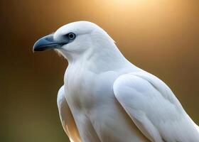 ai généré le blanc corbeau. une rareté, une fonctionnalité photo