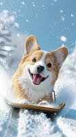 ai généré une mignonne corgi comme il jouit bobsleigh avec une cool affronter, ses plein corps figure glissement vers le bas le neigeux pente avec une espiègle expression cette rayonne joie et excitation. photo