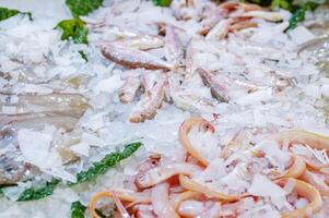 mer rouge poisson de le plage dans le la glace sur le compteur photo