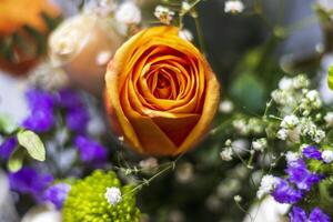 proche en haut coup de le valentines bouquet avec beau, coloré fleurs et Publier carte. fête photo