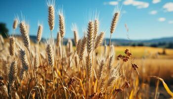 ai généré rural ferme prairie, Jaune blé croissance dans été saison généré par ai photo