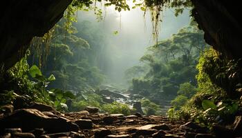 ai généré tranquille scène mystérieux brouillard entoure luxuriant tropical forêt tropicale généré par ai photo