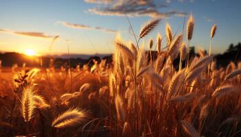 ai généré le coucher du soleil plus de une prairie, la nature beauté dans vibrant Jaune généré par ai photo