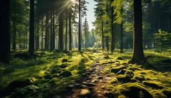 ai généré tranquille forêt chemin révèle la nature beauté dans l'automne lumière du soleil généré par ai photo