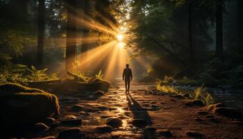 ai généré un la personne en marchant dans le tranquille forêt à le coucher du soleil généré par ai photo