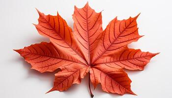 ai généré vibrant l'automne couleurs décorer le forêt dans octobre embrasse généré par ai photo