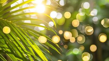 ai généré ensoleillé paume arbre avec des rayons. génératif ai. photo