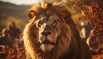 ai généré majestueux lionne en marchant dans le région sauvage, force dans sa yeux généré par ai photo