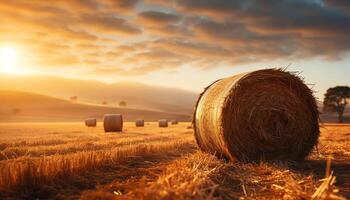 ai généré le coucher du soleil plus de rural cultiver, d'or blé récolté dans Prairie généré par ai photo
