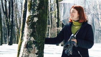 Jeune femme avec parapluie en dessous de une nu arbre dans le neigeux forêt photo