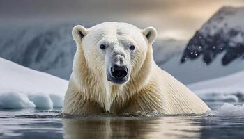 ai généré blanc neige ours sur neige montagnes photo