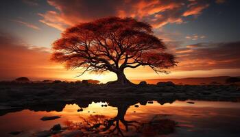 ai généré silhouette de arbre reflète tranquille le coucher du soleil sur l'eau généré par ai photo