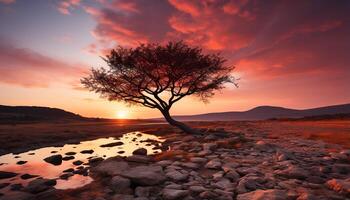 ai généré le coucher du soleil plus de le tranquille littoral, la nature beauté dans Afrique généré par ai photo