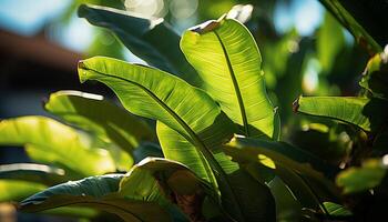 ai généré Frais vert feuilles de une tropical paume arbre dans été généré par ai photo