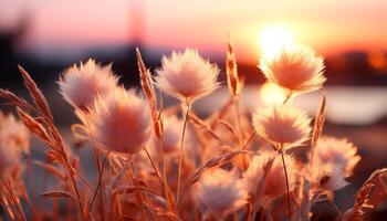 ai généré le coucher du soleil plus de prairie, la nature beauté dans vibrant Orange et Jaune généré par ai photo