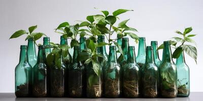 ai généré les plantes croissance dans une rangée de recyclé verre bouteilles. génératif ai photo