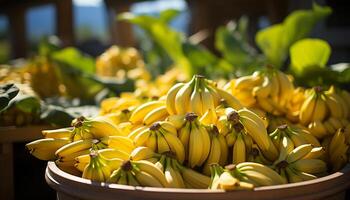 ai généré Frais biologique des fruits et légumes, la nature en bonne santé en mangeant collection généré par ai photo