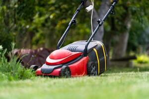 pelouse tondeuse sur vert herbe photo