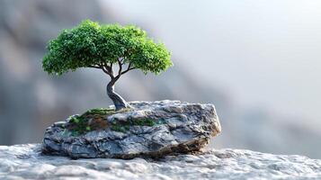 ai généré vert arbre sur pierre sur blanc Contexte photo