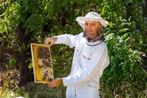 portrait de Masculin apiculteur dans protecteur Vêtements en portant nid d'abeille Cadre à rucher photo