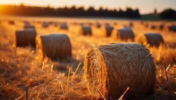 ai généré rural scène meules de foin roulé en haut dans prairie, d'or le coucher du soleil généré par ai photo