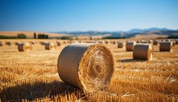 ai généré rural scène meules de foin dans une prairie, d'or blé Rouleaux dans Lignes généré par ai photo