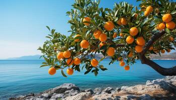 ai généré Frais Orange agrumes fruit sur une vert arbre par le littoral généré par ai photo