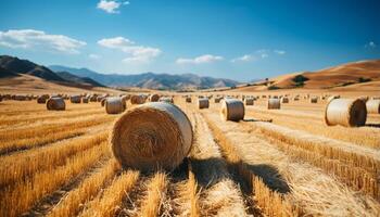 ai généré agriculture beauté dans la nature roulé en haut foins balles dans Prairie généré par ai photo