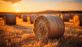 ai généré d'or blé balles point le rural Prairie à le coucher du soleil généré par ai photo