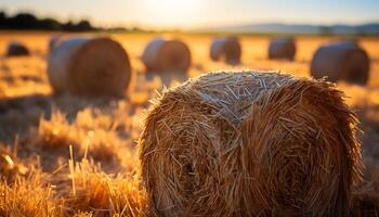 ai généré d'or blé balles orner le rural Prairie en dessous de le coucher du soleil lueur généré par ai photo