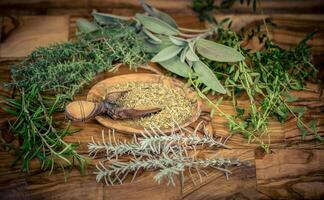 herbes de français Provence sur olive bois photo