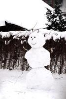 un souriant bonhomme de neige avec marrant visage permanent sur neige avec une maison et une clôture couvert avec sans feuilles vignes de sauvage les raisins photo