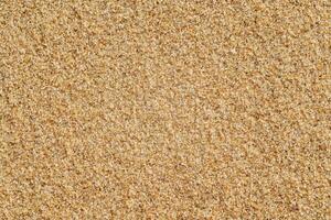 mer plage le sable surface texture photo