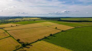aérien vue de luxuriant les terres agricoles avec patchwork des champs en dessous de une clair ciel. photo