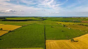 aérien vue de luxuriant vert des champs avec patchwork les terres agricoles en dessous de une clair ciel. photo