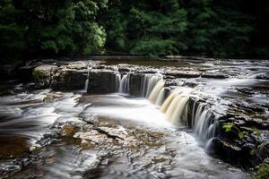 serein cascade avec lisse écoulement l'eau dans une luxuriant forêt paramètre. photo