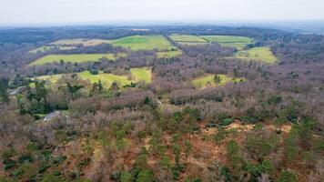 aérien vue de une luxuriant, patchwork paysage avec variant nuances de vert, mettant en valeur le diverse végétation dans une rural paramètre. photo