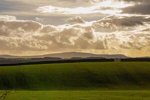 roulant vert collines avec ombres en dessous de une nuageux ciel à le coucher du soleil. photo