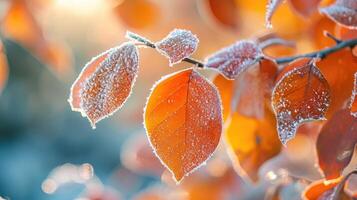 ai généré en retard l'automne révèle une magnifique scène avec brillant Orange feuilles couvert dans gel, ai généré. photo